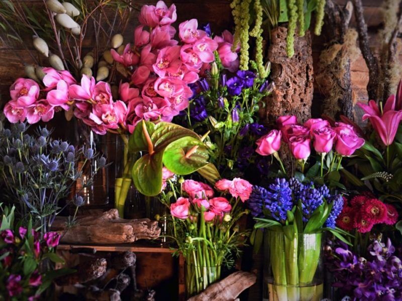 Creatively unique, by stalks & stems – Dazzling Pinks & Purples.